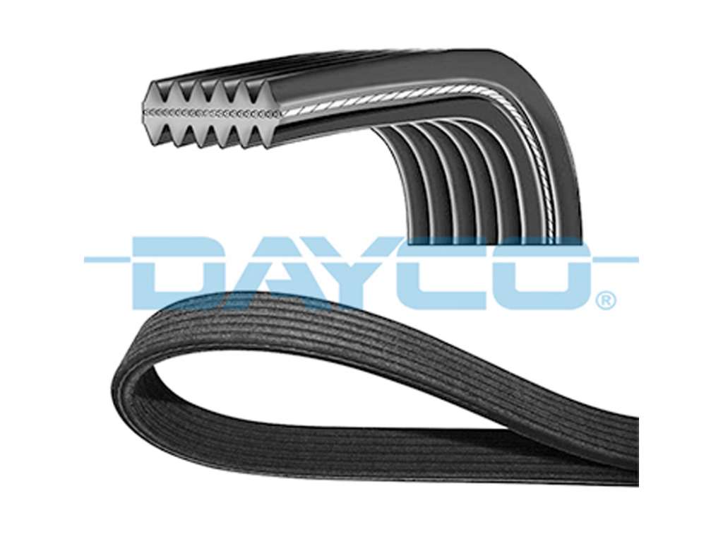 Correa de accesorios (alternador)