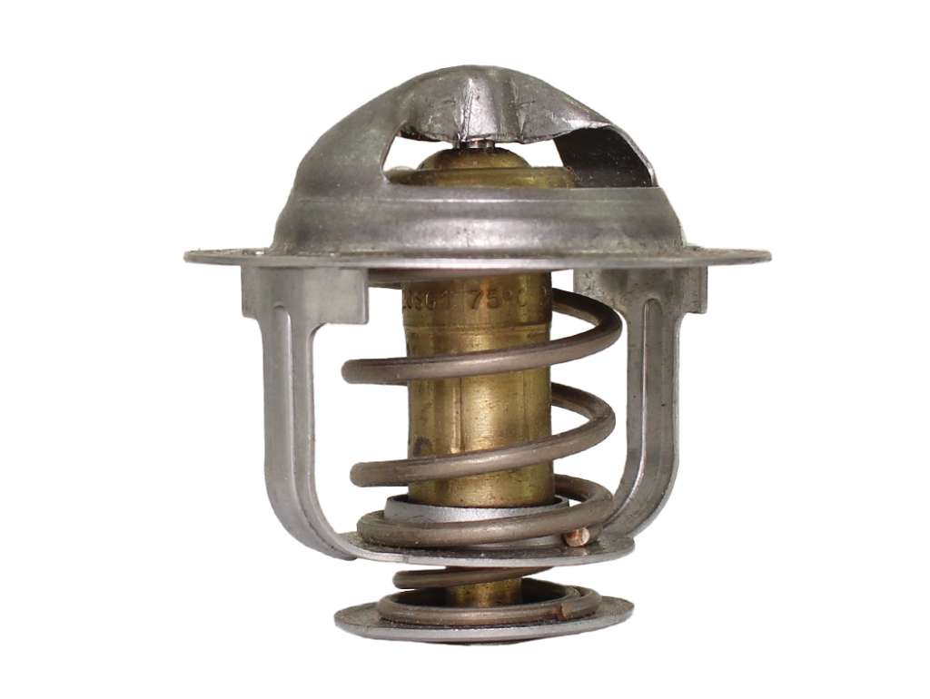 TERMOSTATO NI TERRANO 2.4