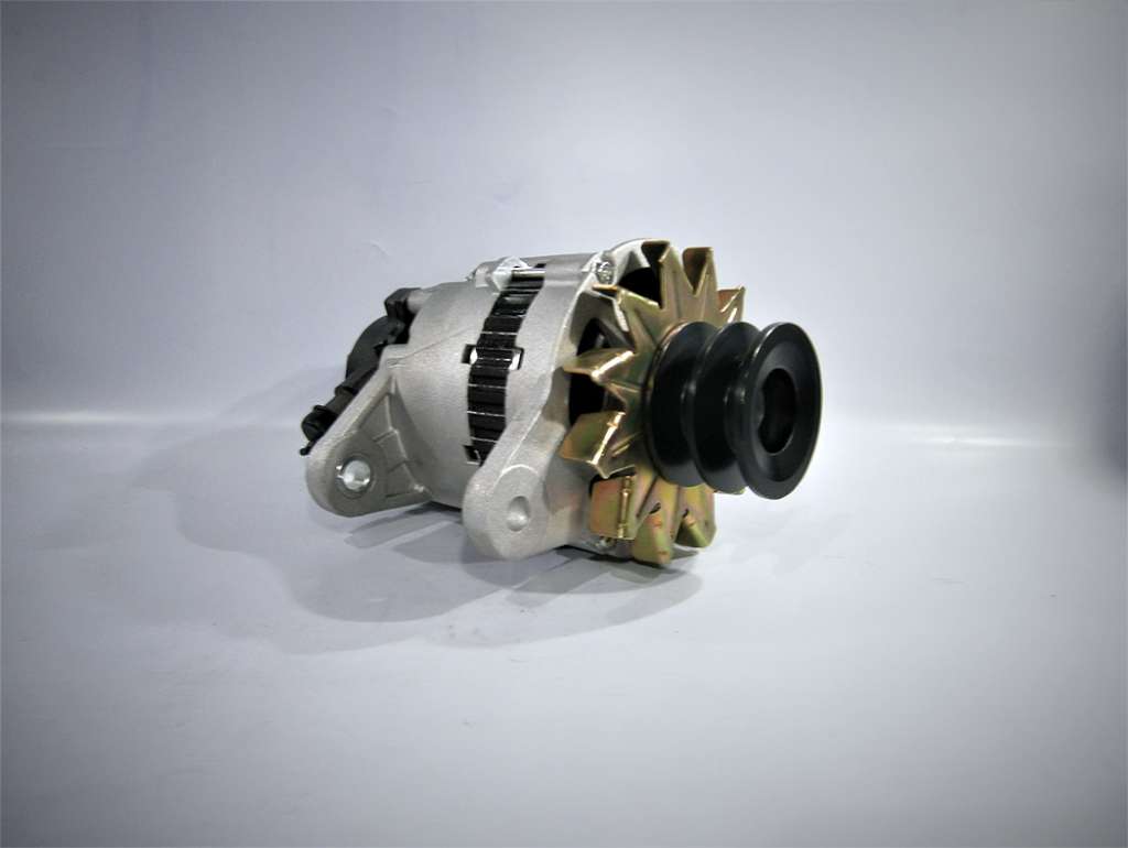 Alternador 24V 30A Doble Polea