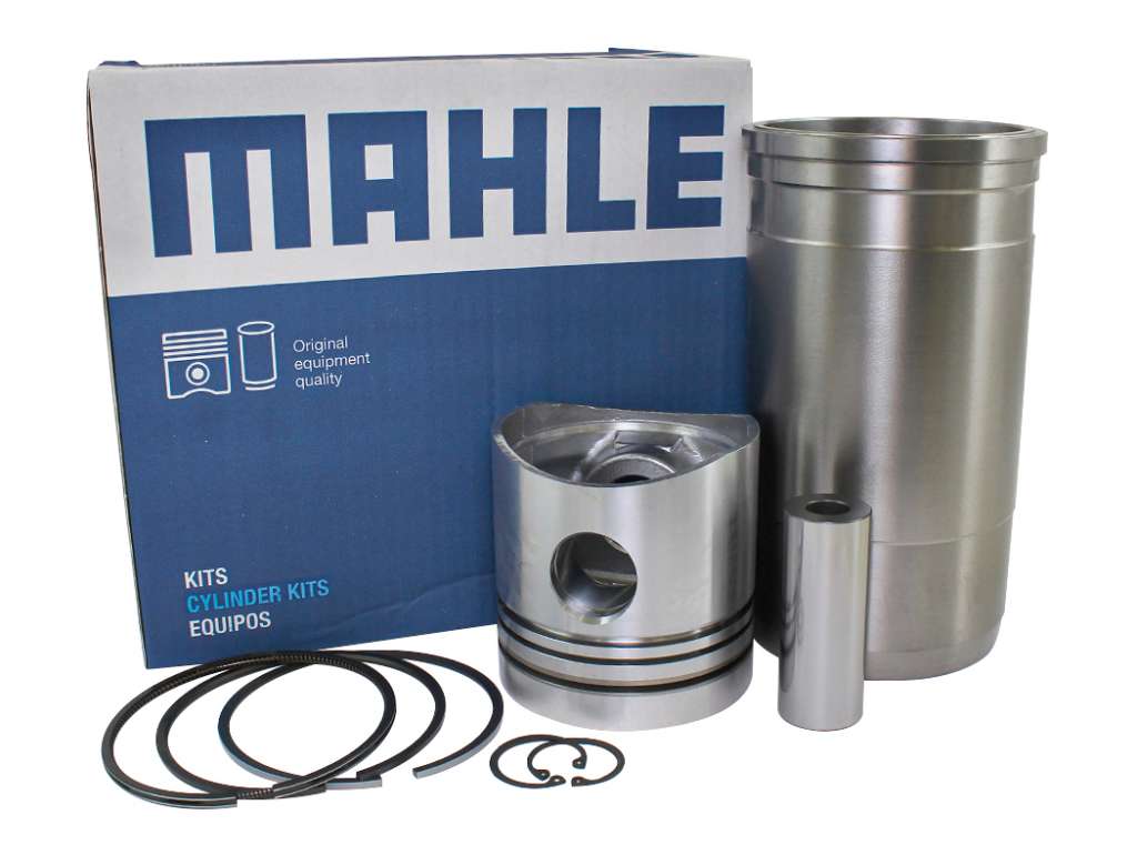 CONJUNTO MOTOR MWM D225