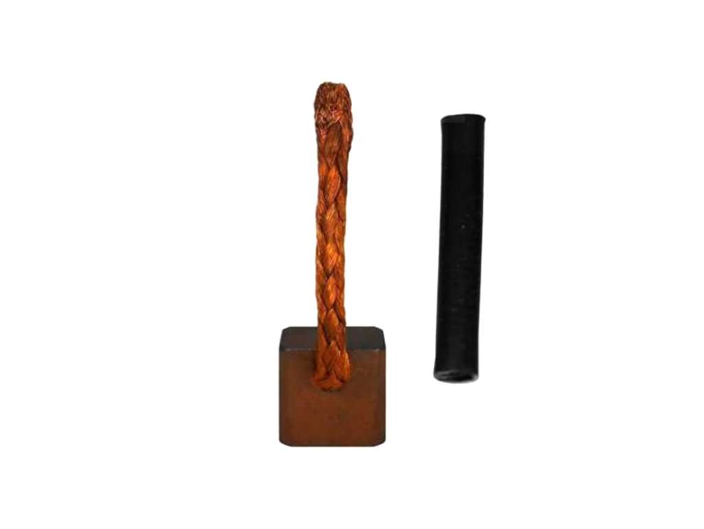 Carbones de arranque