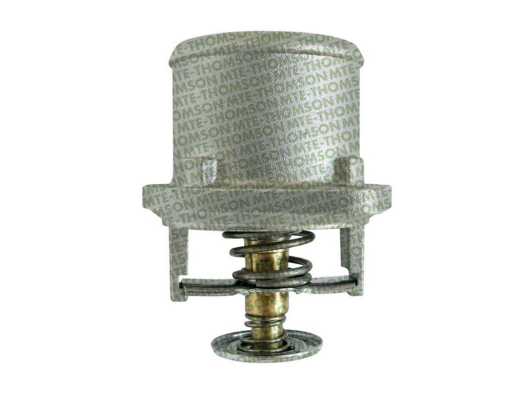 TERMOSTATO     VW CAMION 80§
