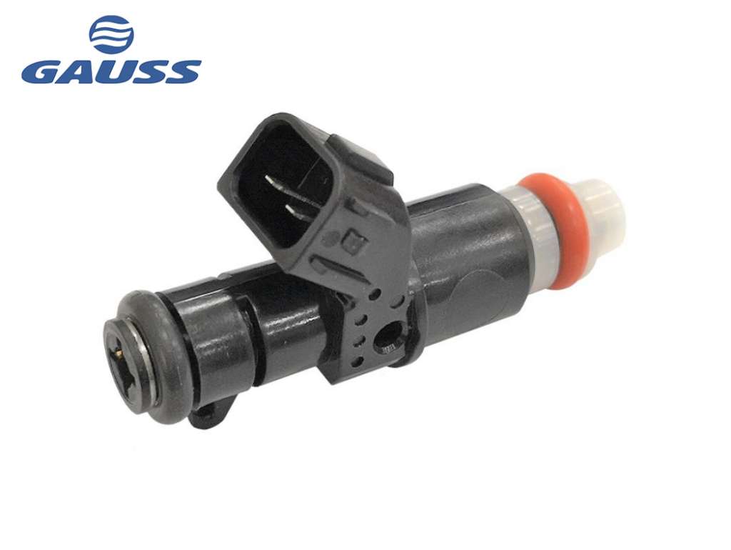 Inyector de combustible
