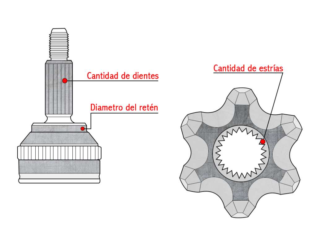 Junta Homocinética