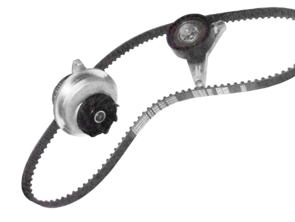 RULEMAN TENSOR 125-200 GM MONZA DIENTE REDONDO KIT C/BOMBA