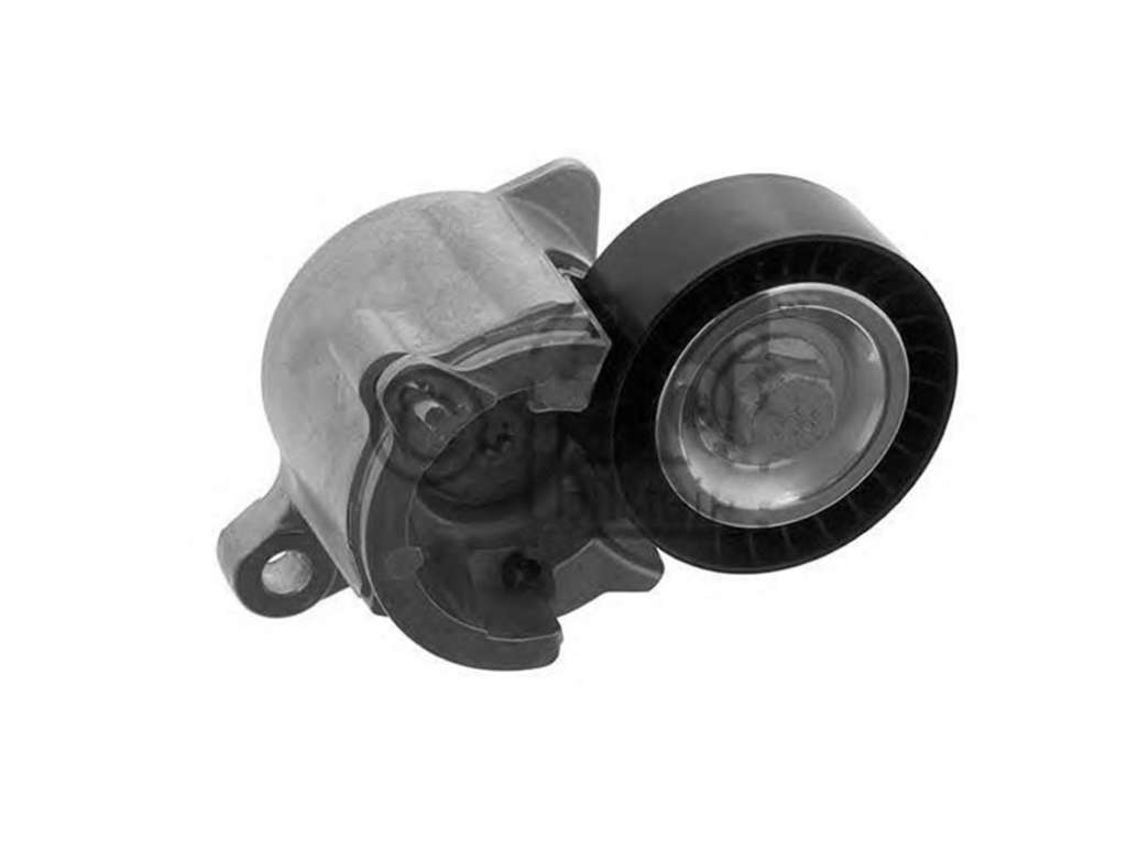 RULEMAN TENSOR PK CI C3/C5 1.4 8V