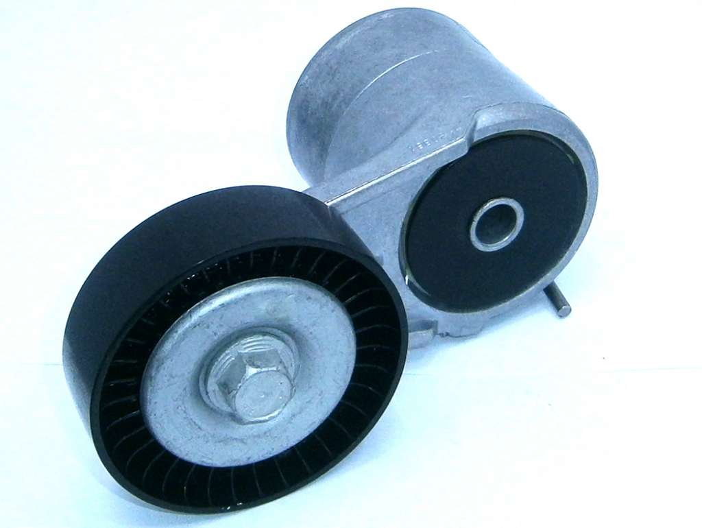 Rulemán tensor correa poly-v